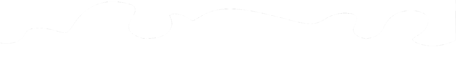 Bottom Wave